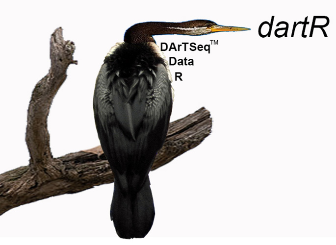 Introductory Tutorials