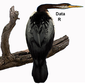 eBook -- Introduction to dartR